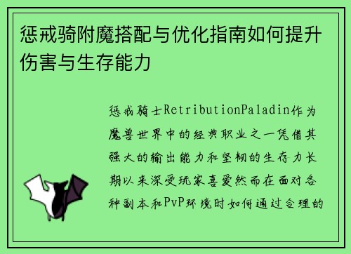 惩戒骑附魔搭配与优化指南如何提升伤害与生存能力